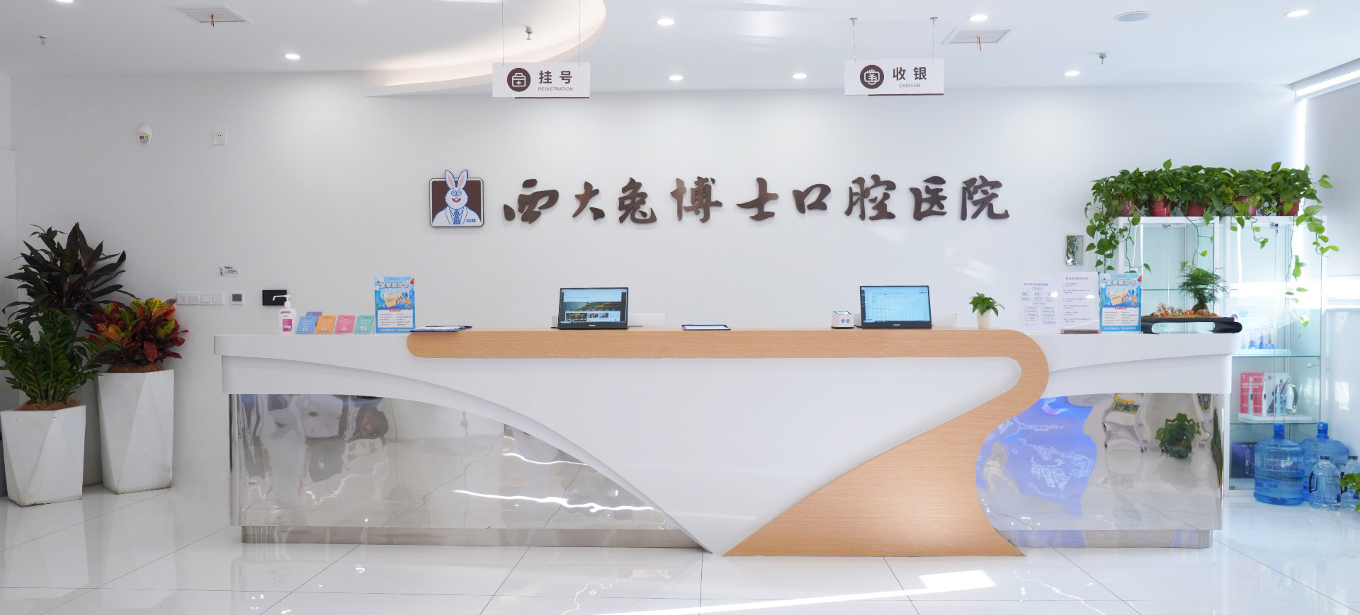 页面头图 1